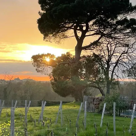 Bed & Breakfast Tournefeuille La Cure 4*